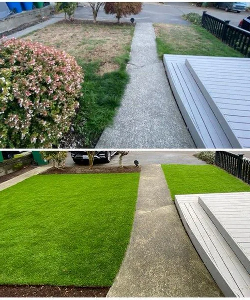 Landscaping Services in Bellevue 